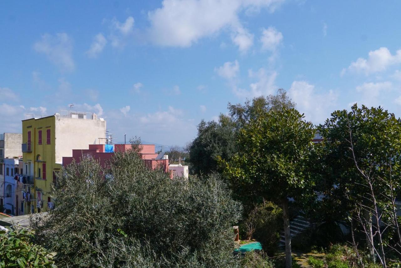 Stella Marina Apartments Procida Exterior foto